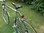 new raleigh 3.webp