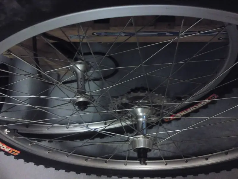 DSC01313 (Medium).webp