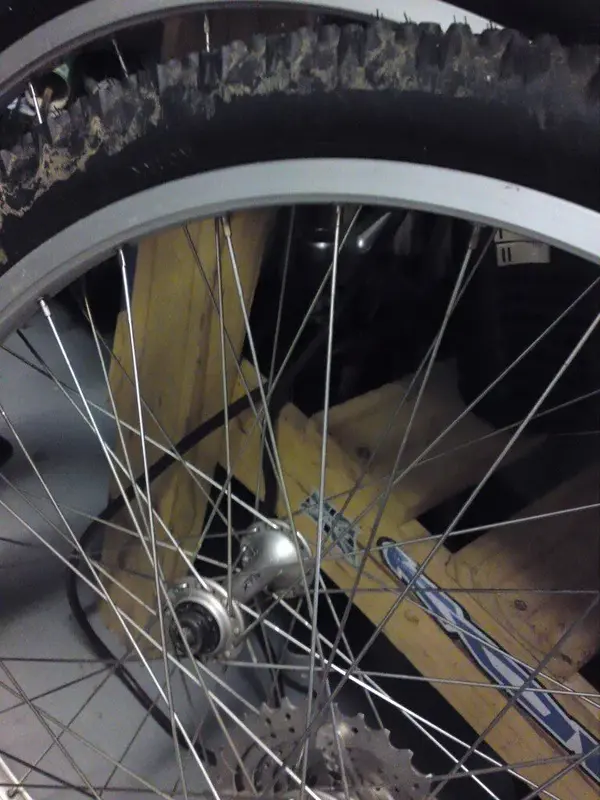 DSC01314 (Medium).webp