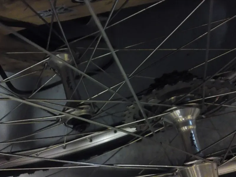 DSC01316 (Medium).webp
