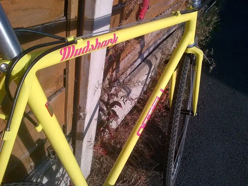 IMG-20130813-00086.webp