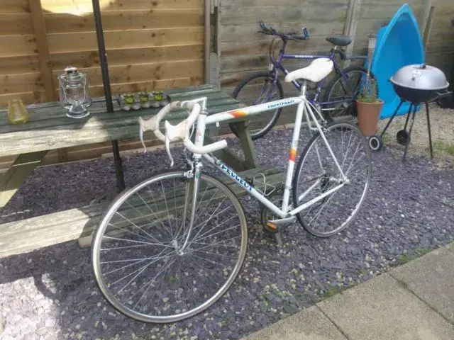 Peugeot Triathlon 1.webp