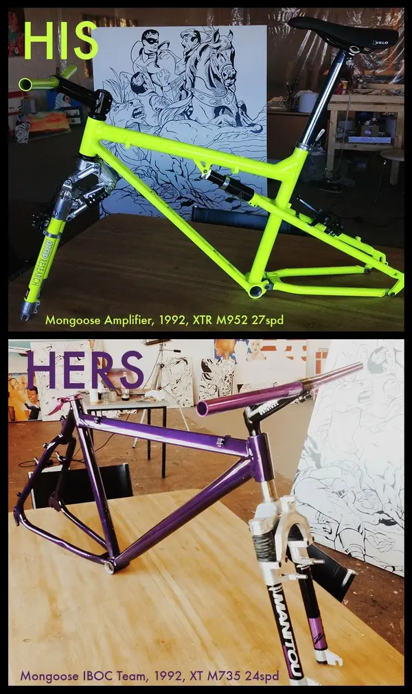 bikes.webp