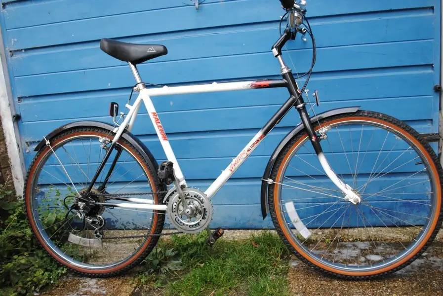 raleigh staaaaaaaaaaang.webp