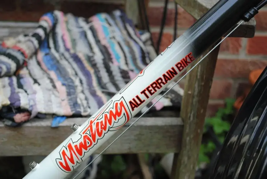 more raleigh 1.webp