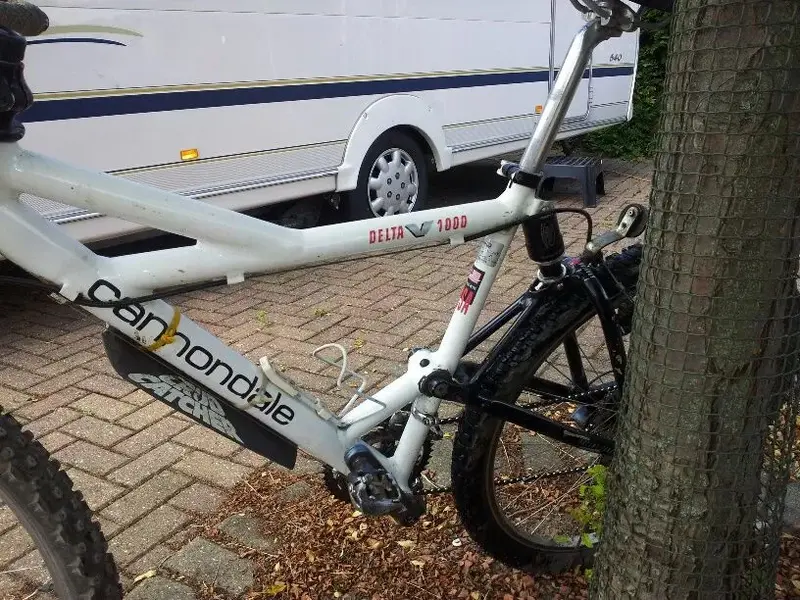 cannondale 2_resized.webp
