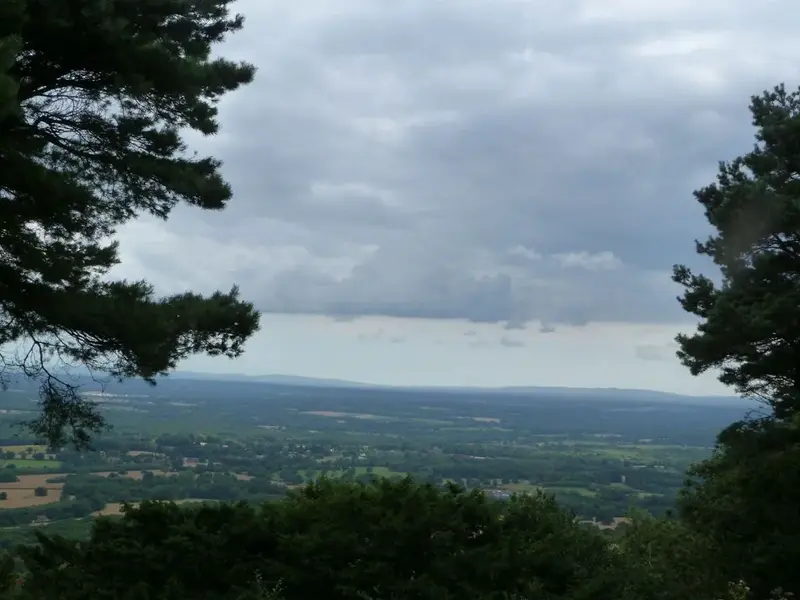 view front.webp