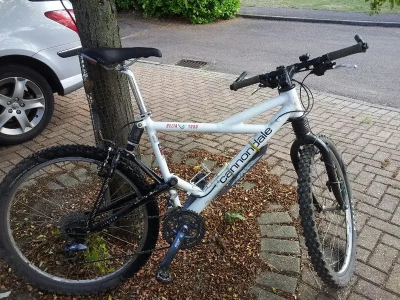 cannondale_resized.webp