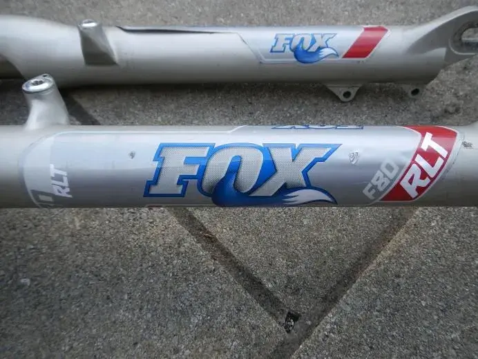 Fox 3.webp