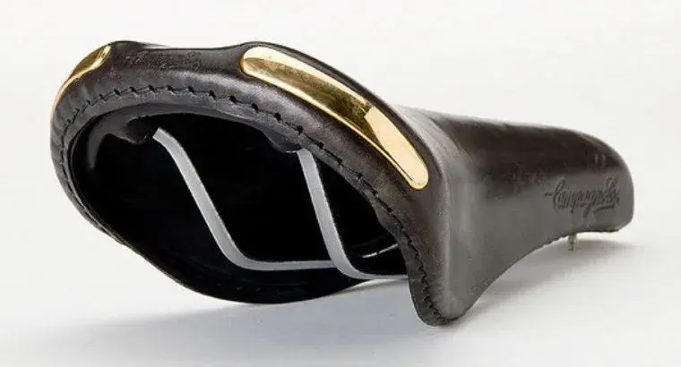 Campagnolo Electa Saddle..webp