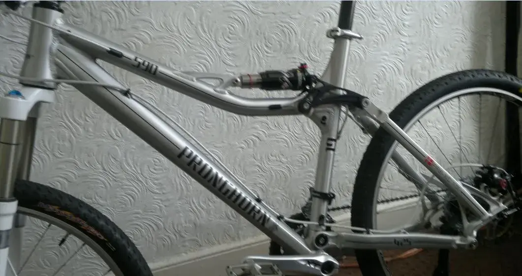 prong frame.webp