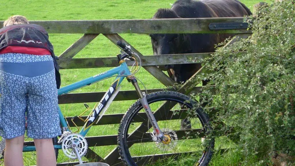 bike_cleaning_experts 003.webp