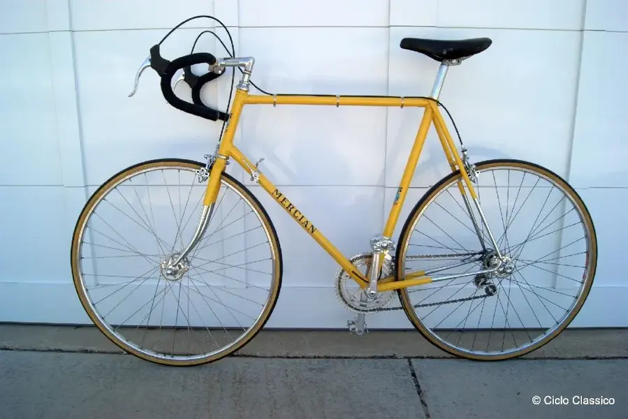 Mercian b 4.webp