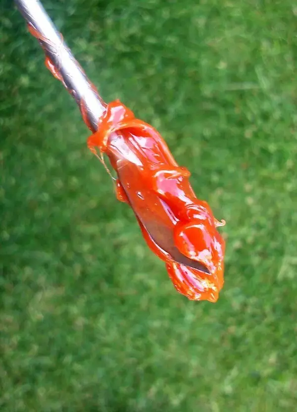 perished elastomer.webp