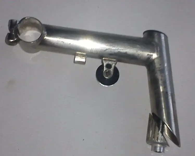 Marin stem 1.webp