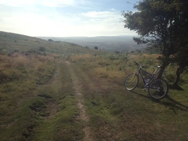 1st ride.webp