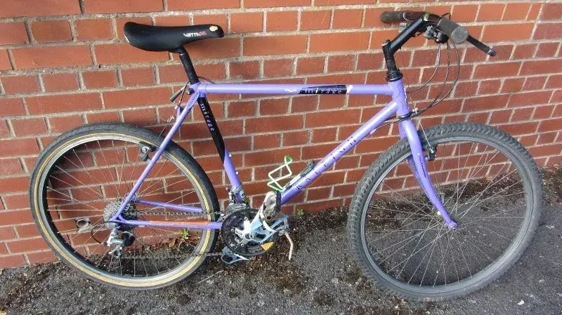 Raleigh mirage mountain bike online
