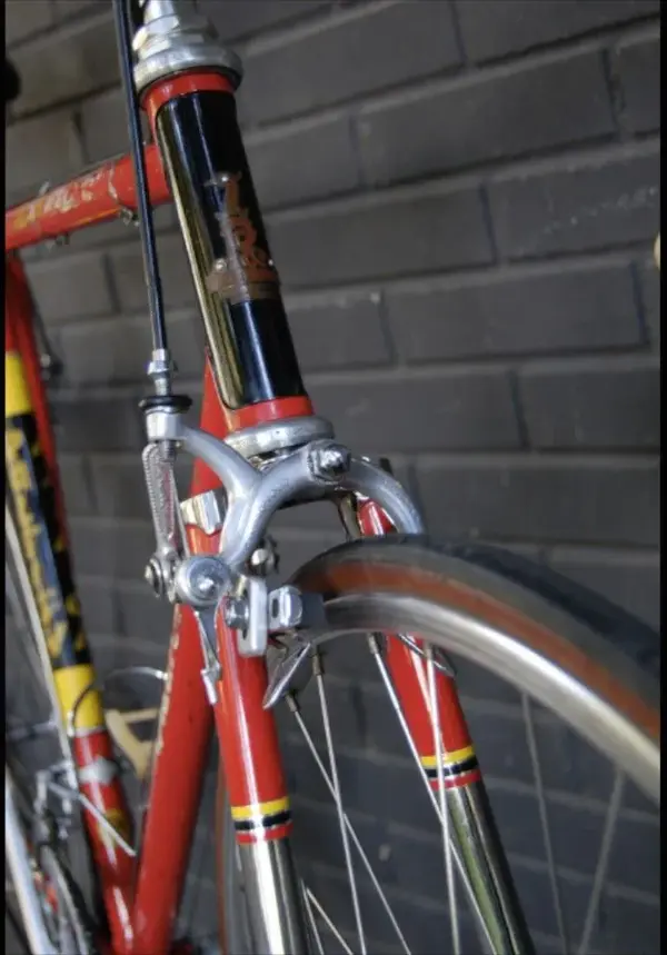 Raleigh 1.webp