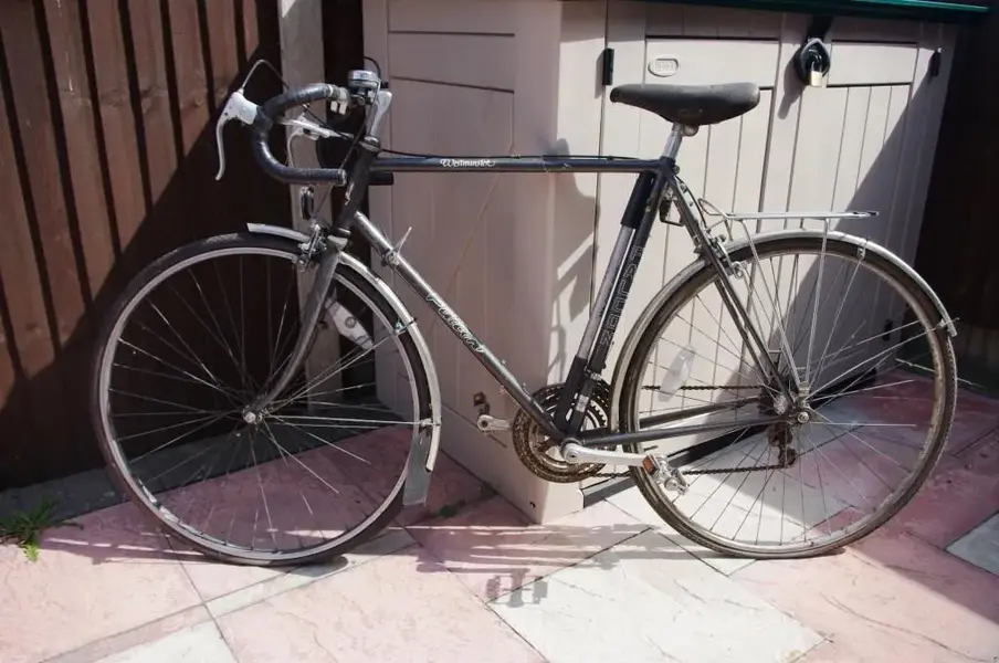 IMGP1512_c.webp