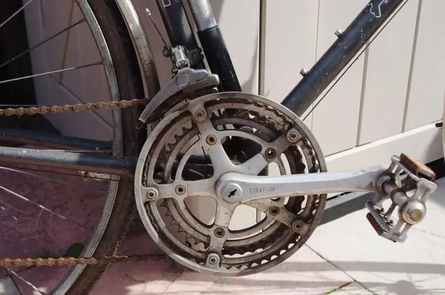 IMGP1513_c.webp