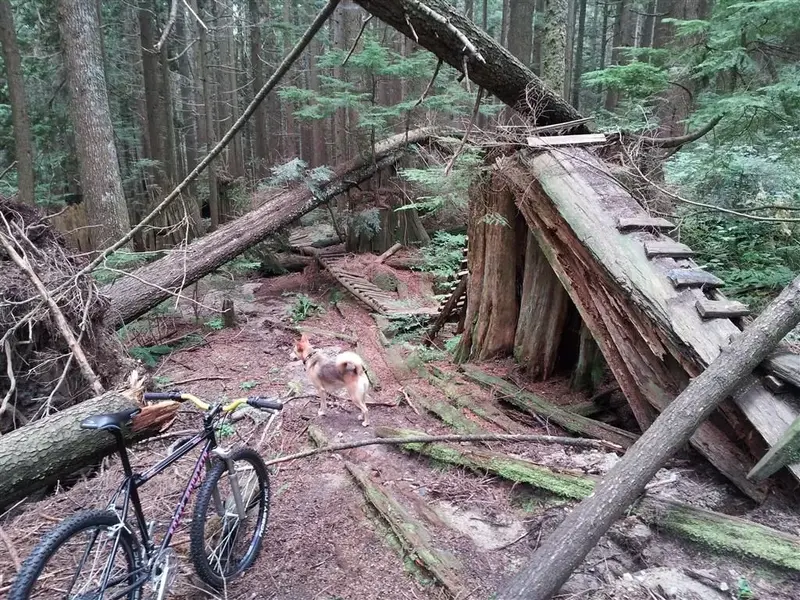20130906_142713 (Medium).webp