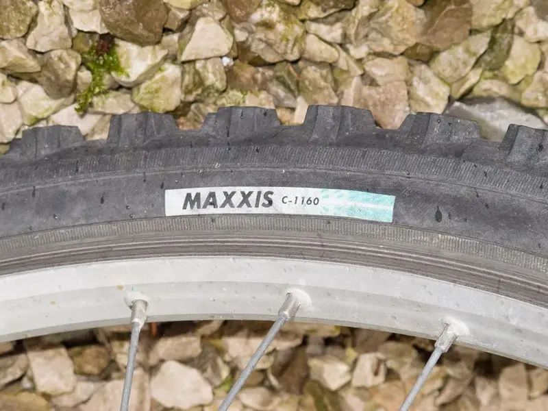 Max-15.webp