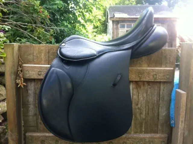 Saddle.webp