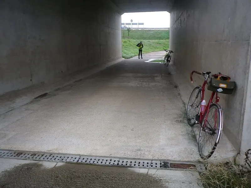 IMGP3645.webp