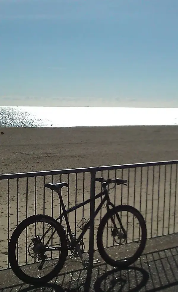 WP_000225.2.webp