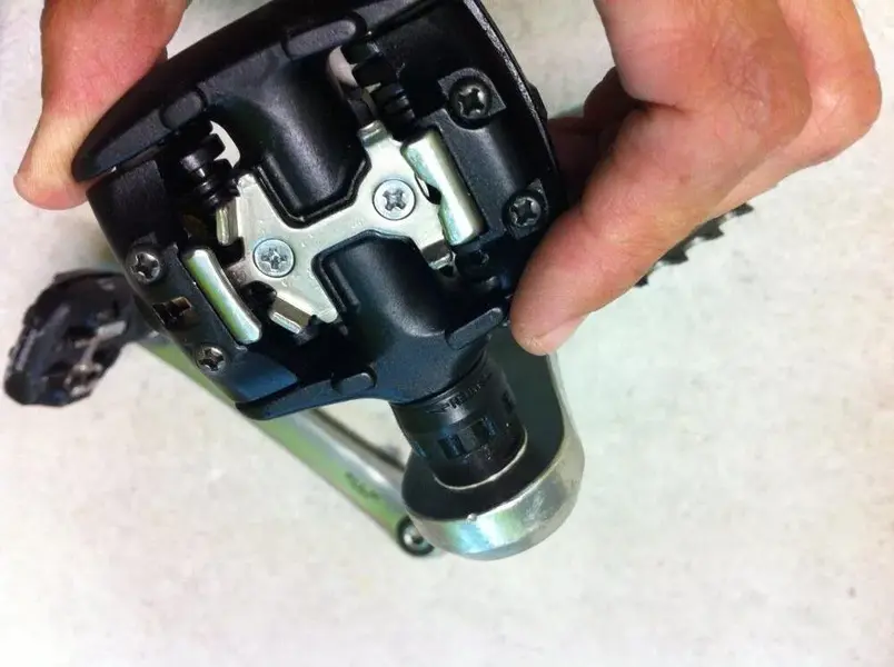 Image20.webp