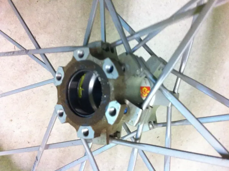 Image3.webp