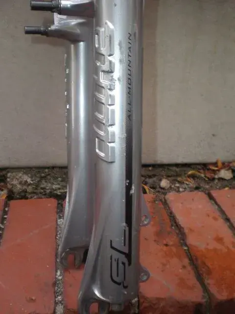 forks x 2 009.webp