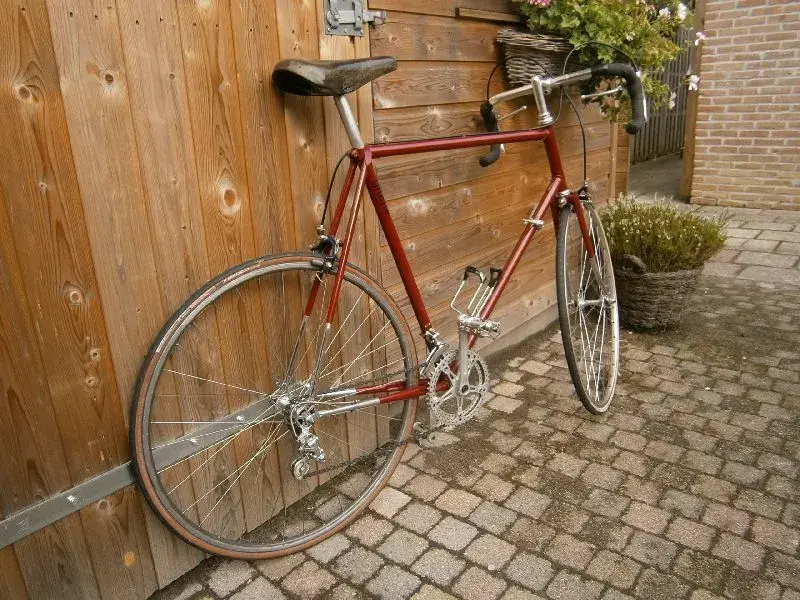 1379488242Ngh_009.webp