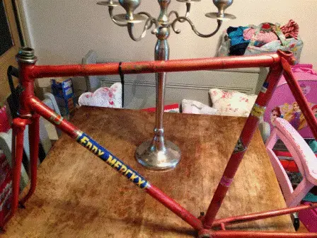 eddymerckx3.webp