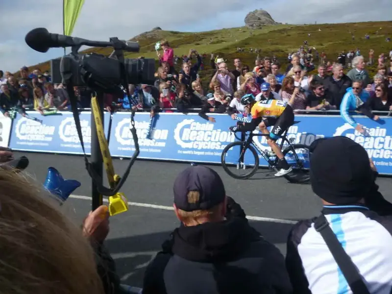 wiggo.webp