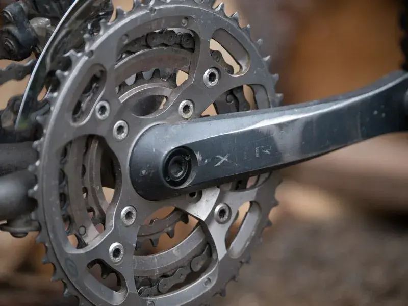 bontrager-2.webp