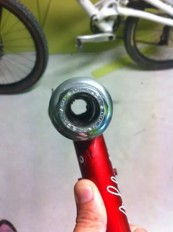 Image9.webp