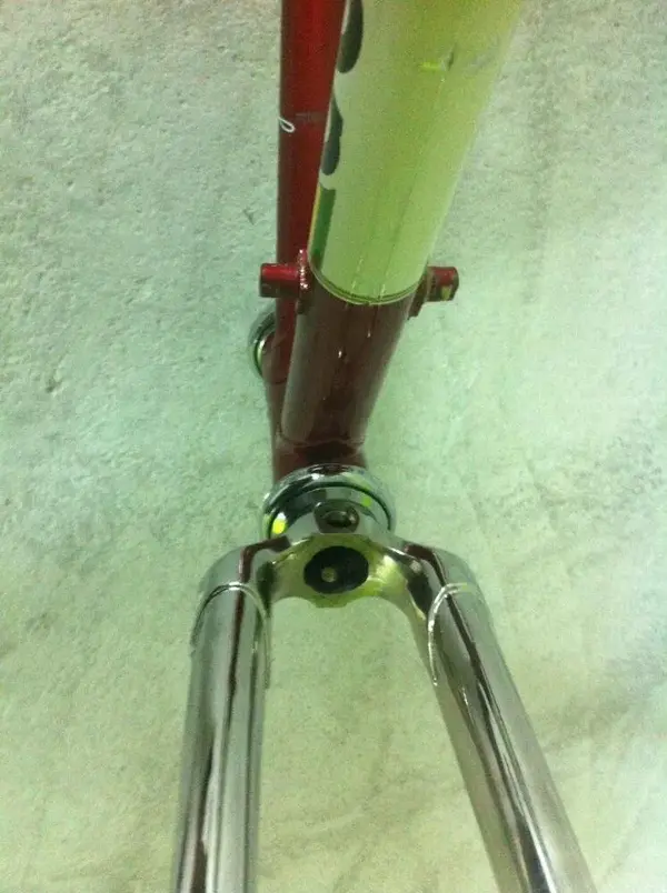 Image6.webp
