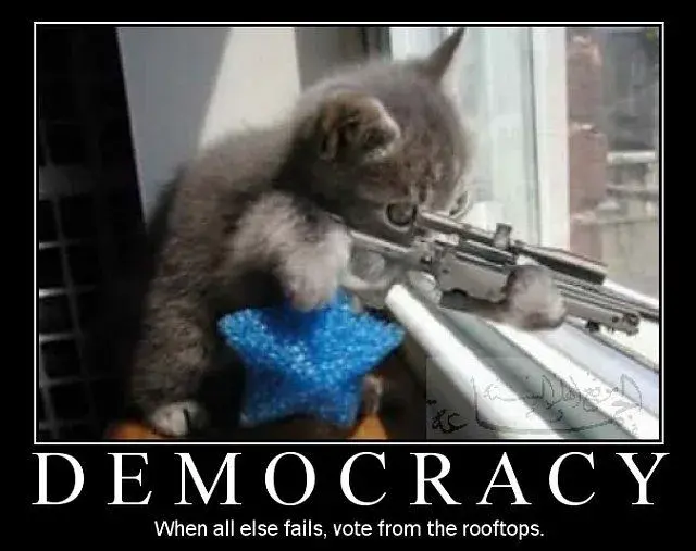 Demotivational_posters_democracy.webp