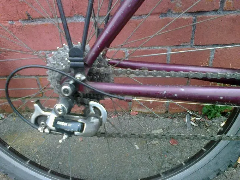 Photo0029.webp
