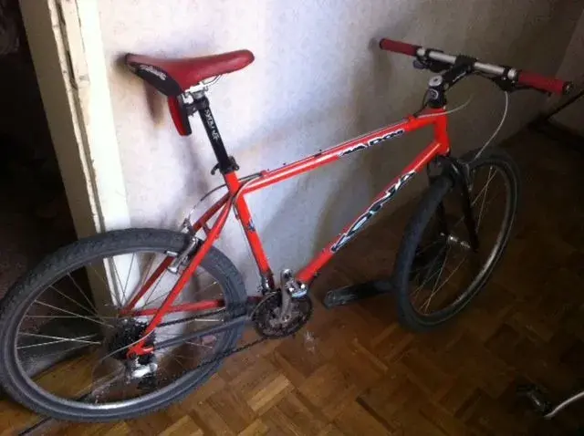 foto 1 (1).webp