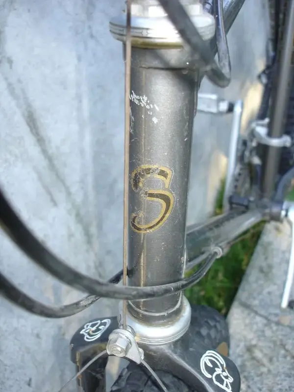 front (2).webp