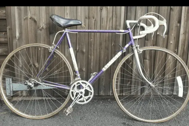 purple2.webp