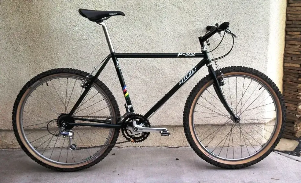 Ritchey p22.webp
