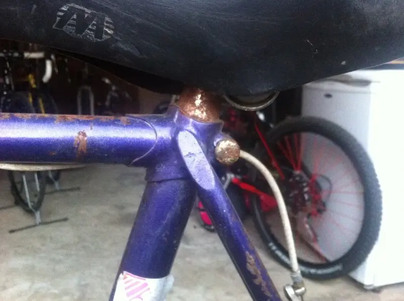 purple5.webp