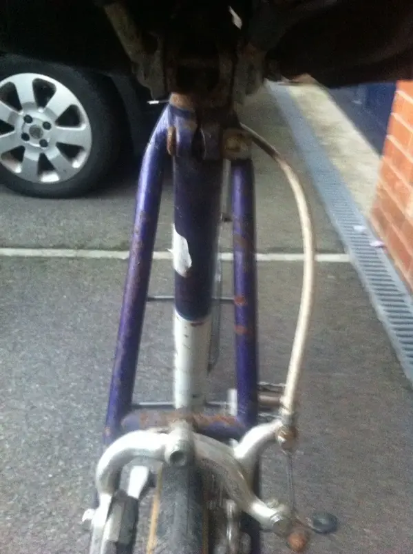 purple8.webp