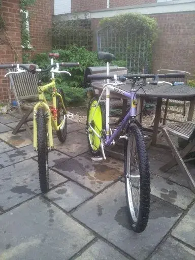 20130906_102300 (384x512).webp