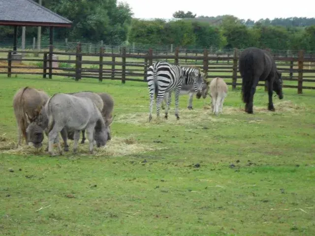 Oct 13 004 (640x480).webp