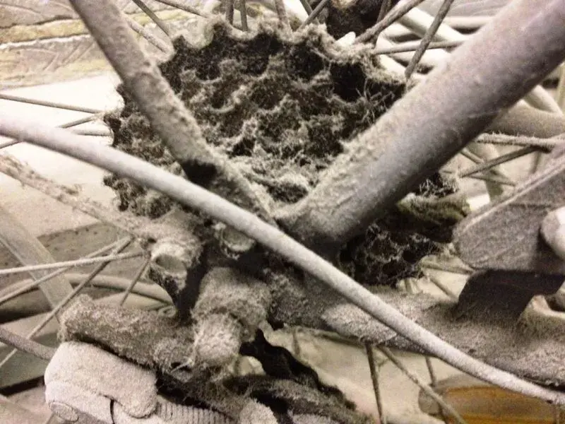 dusty-bike-sprocket.webp