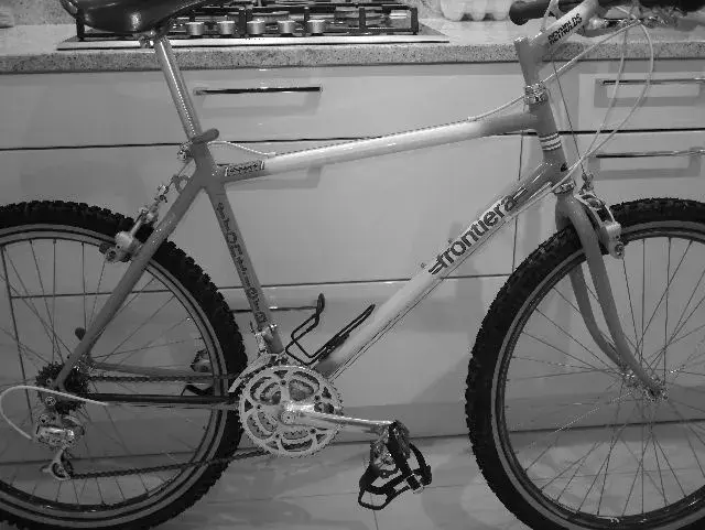 whole bike 2.webp